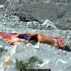 Секс молодых нудистов на пляже 5 фото