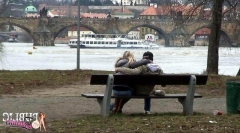 Секс в парке на скамейке 4 фото